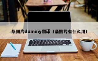 晶圆片dummy翻译（晶圆片有什么用）