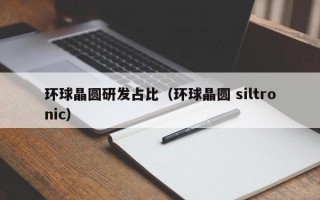 环球晶圆研发占比（环球晶圆 siltronic）