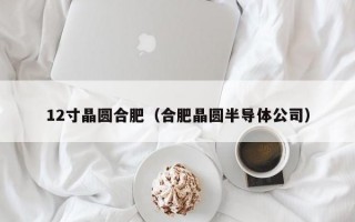 12寸晶圆合肥（合肥晶圆半导体公司）