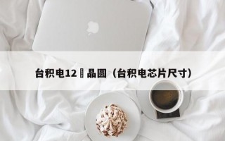 台积电12吋晶圆（台积电芯片尺寸）